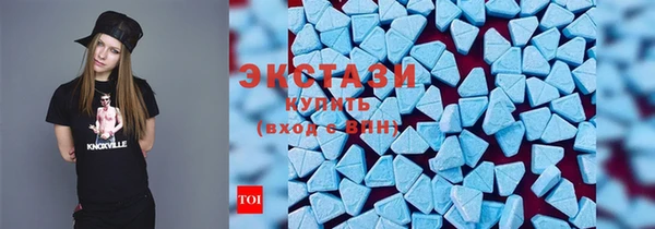 мдпв Рославль