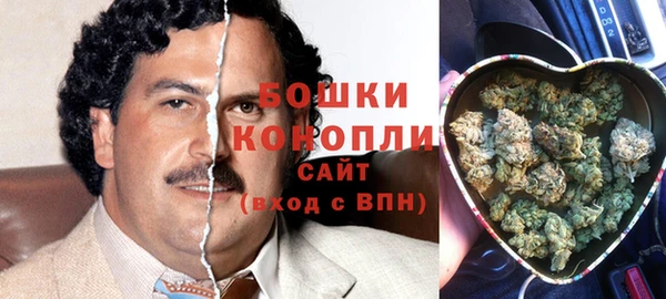 мдпв Рославль