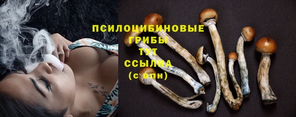 спиды Абаза