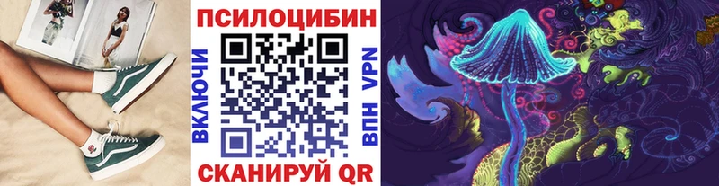 Галлюциногенные грибы GOLDEN TEACHER  где найти наркотики  Тырныауз 